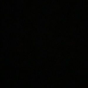 Meet your Posher, Millie